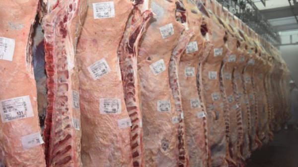 Etiquetas para la industria alimenticia cárnica